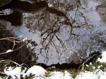 Impasse (Mary Musselwhite)