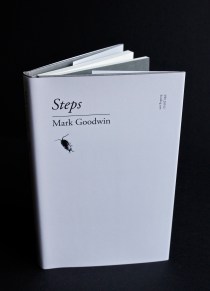 Steps (E Bolland)