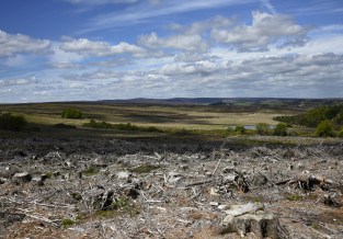 Booths July 2015 (Karl Hurst)