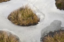 Booths series (Karl Hurst)